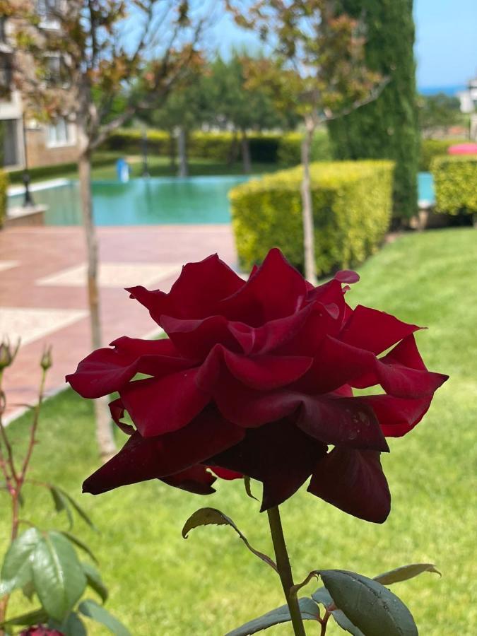 Provence Deluxe Apartment In Atia Resort Chernomorets Dış mekan fotoğraf